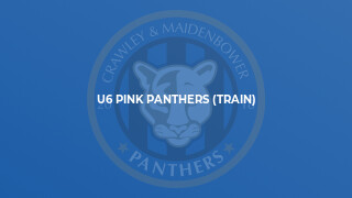 U6 Pink Panthers (Train)
