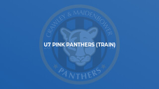 U7 Pink Panthers (Train)
