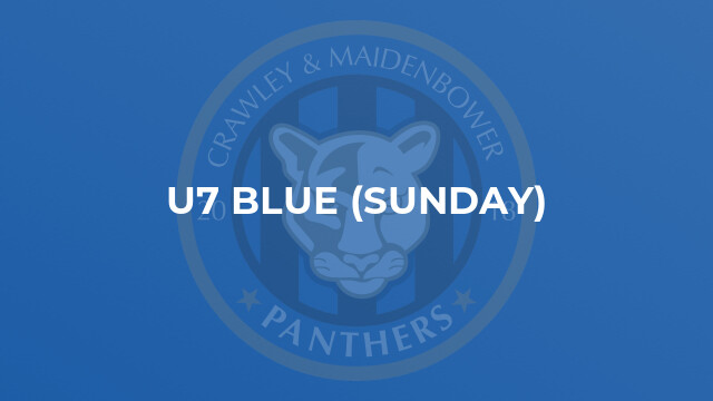 U7 Blue (Sunday)