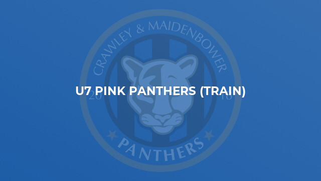 U7 Pink Panthers (Train)