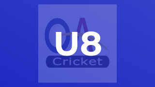U8