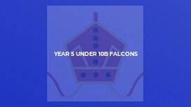 Year 5 Under 10B Falcons