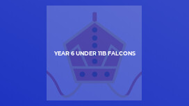 Year 6 Under 11B Falcons