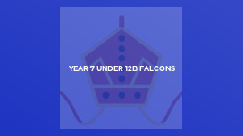 Year 7 Under 12B Falcons