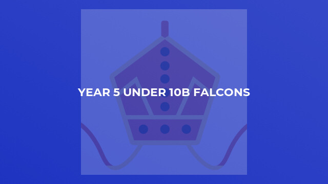 Year 5 Under 10B Falcons