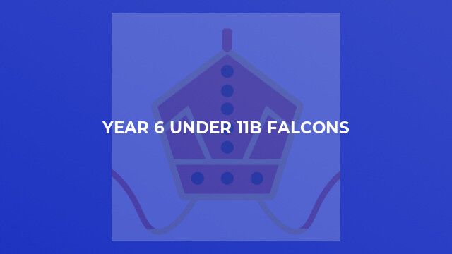 Year 6 Under 11B Falcons