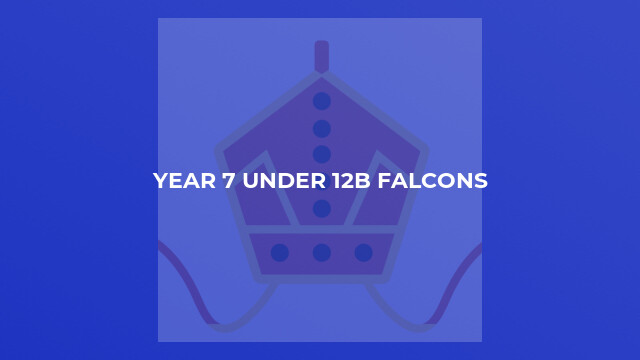 Year 7 Under 12B Falcons