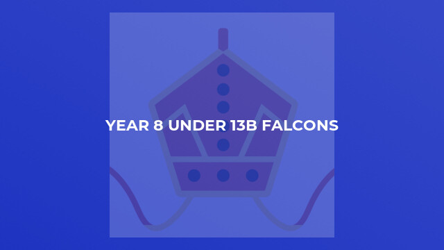 Year 8 Under 13B Falcons