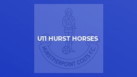U11 Hurst Horses