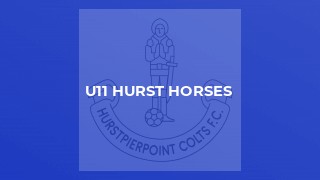 U11 Hurst Horses