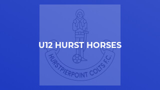 U12 Hurst Horses