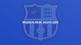 Wodson Park Youth u12s