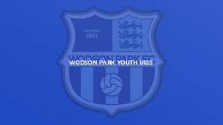 Wodson Park Youth u12s