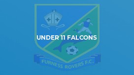 Under 11 Falcons