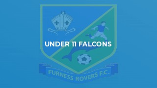 Under 11 Falcons