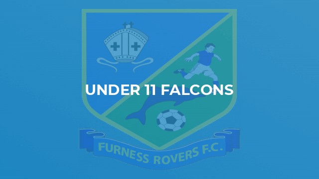 Under 11 Falcons