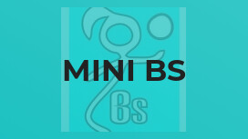 Mini Bs
