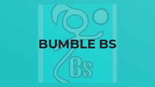 Bumble Bs