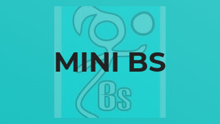 Mini Bs