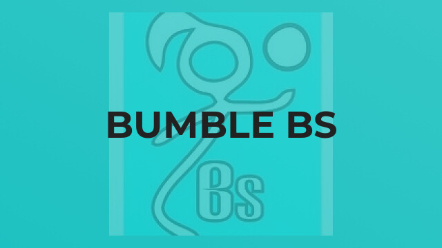Bumble Bs