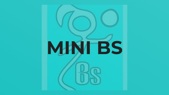 Mini Bs