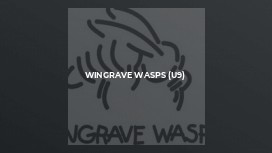 Wingrave Wasps (U9)