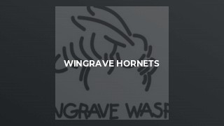 Wingrave Hornets