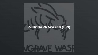 Wingrave Wasps (U10)