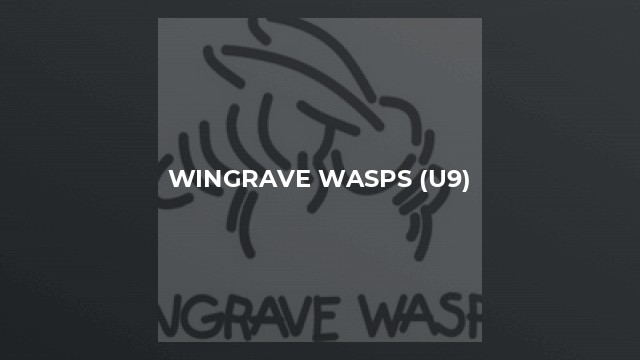 Wingrave Wasps (U9)