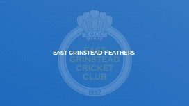 East Grinstead Feathers