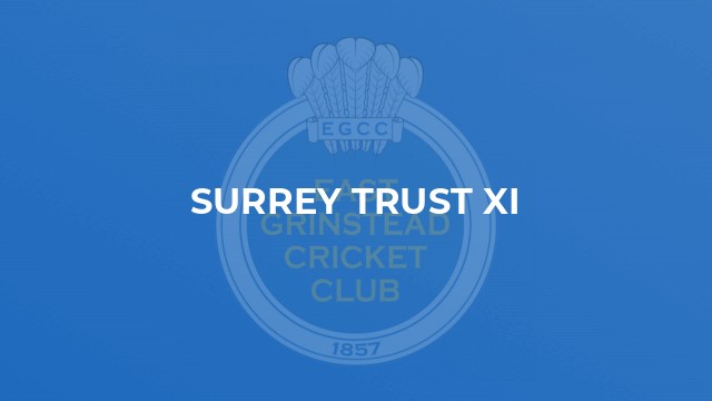 Surrey Trust XI