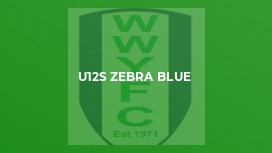 U12s Zebra Blue