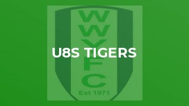 U8s Tigers