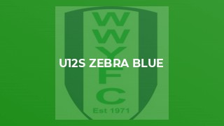 U12s Zebra Blue
