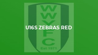 U16s Zebras Red