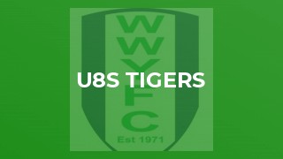 U8s Tigers