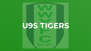 U9s Tigers
