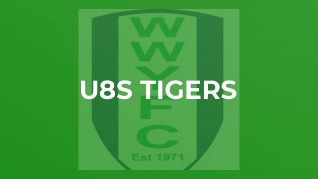 U8s Tigers