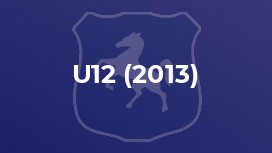 U12 (2013)