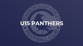 U15 Panthers