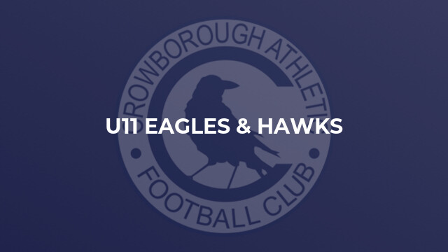 U11 Eagles & Hawks