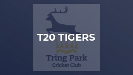 T20 Tigers