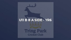 U11 B 8 a side - Yr6