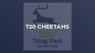 T20 Cheetahs