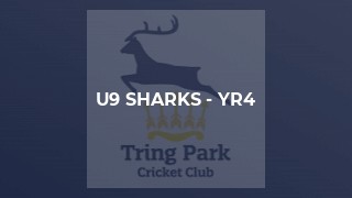 U9 Sharks - Yr4