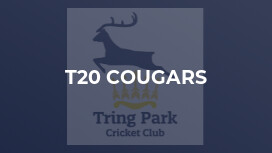 T20 Cougars