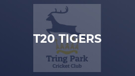 T20 Tigers