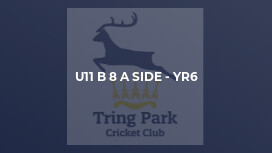 U11 B 8 a side - Yr6