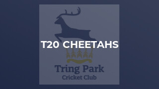 T20 Cheetahs