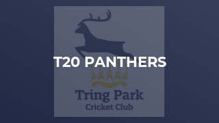 T20 Panthers